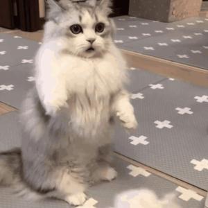 桃谷绘里香无码无修正版
