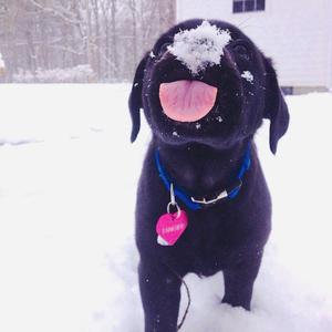 桃谷绘里香无码无修正版
