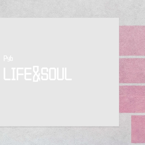 桃谷绘里香无码无修正版
